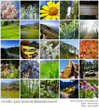 รีวิวดอยอินทนนท์