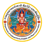 เว็บไซต์ทางการ