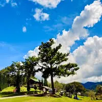 14. ดอยชัวร์ญ่าวิวสวย โซนA (ลานกางเต็นท์เอกชน)