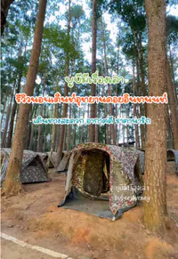 รีวิวลานกางเต็นท์ดงสน ดอยอินทนนท์
