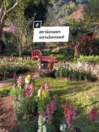 รีวิวสถานีเกษตรหลวงอินทนนท์