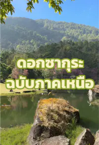 รีวิว โครงการอนุรักษ์พันธุ์กล้วยไม้รองเท้านารีอินทนนท์ ตามพระราชดำริ ในพื้นที่ภาคเหนือ (ดอยอินทนนท์)
